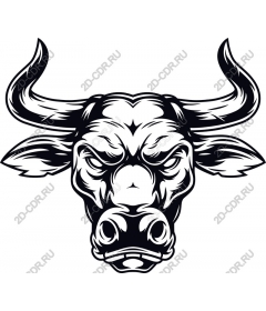 Head of a ferocious bull