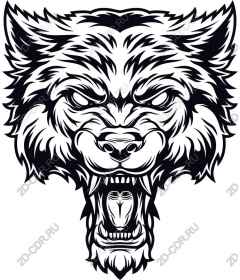 Head ferocious wolf