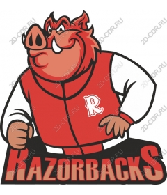  Bright Razorback