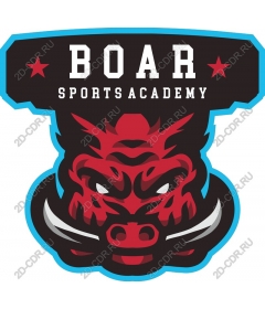 Boar Academy sports