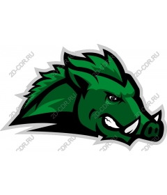  Fierce Green Boar