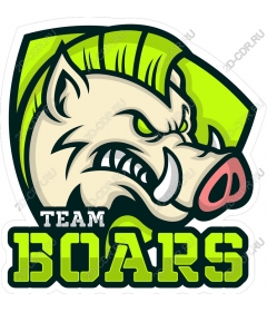  Team Wild Boars