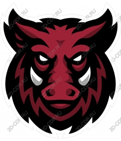 Head of a ferocious wild boar