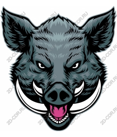  Ferocious boar's head