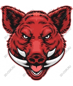  Ferocious Boar