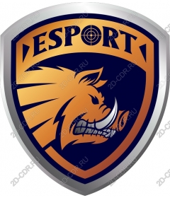  ESports shield boar