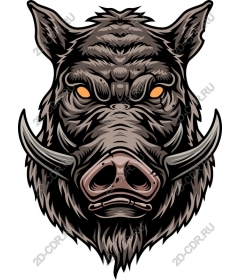  Ferocious boar's head