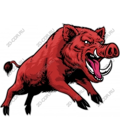 Aggressive wild boar