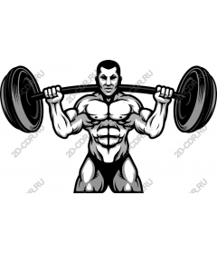  Muscle power: the fitness icon