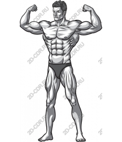 Posture muscular men