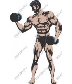  Dynamic fitness: muscular man lifts dumbbells