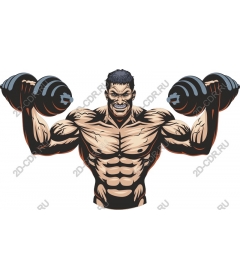 Muscular man lifts dumbbells