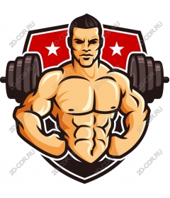  Champion fitness among muscles