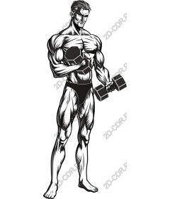  Fitness for muscles