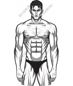 Muscular male figure
