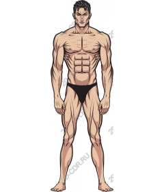  Fitness muscular man