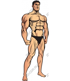  Fitness for muscular men