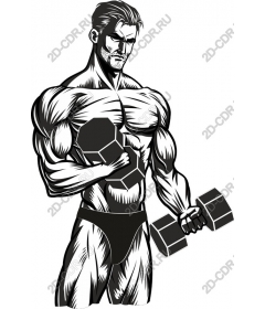  Muscle power: Dynamic dumbbell
