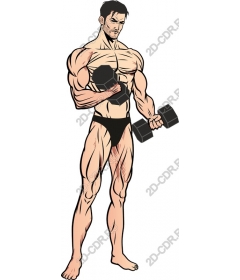 Muscular men Dumbbell Strength