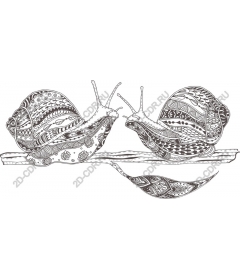  Whimsical snail