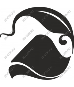  Stylish fluidity abstraction