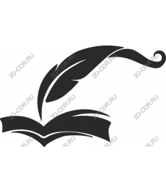  Elegant feather and an open book