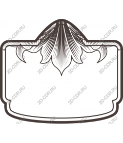  Elegant decorative floral frame