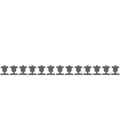  Elegant decorative border