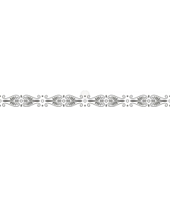 Elegant floral border