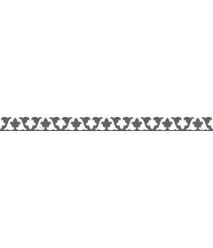  Elegant decorative border