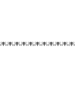  Elegant black and white floral frame