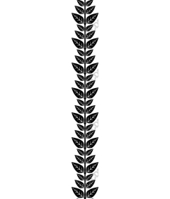  Botanical leaf stem