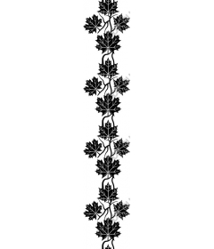  Elegant black and white ivy leaves