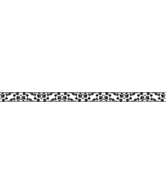  Elegant border with butterflies