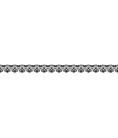  Elegant black and white decorative frame