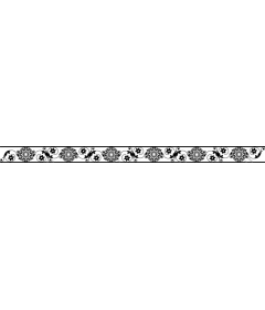  Elegant black and white decorative frame