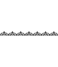  Elegant black decorative border