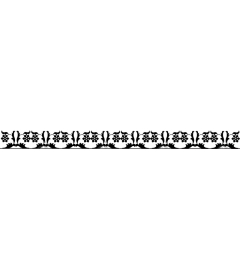  Elegant floral border