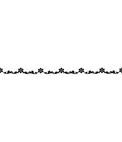  Elegant floral border
