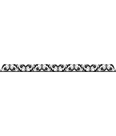  Elegant decorative border