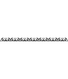 Elegant floral border
