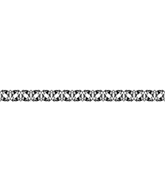  Elegant floral border