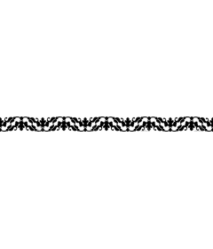  Elegant black decorative border