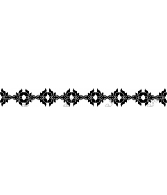  Elegant black floral decorative border