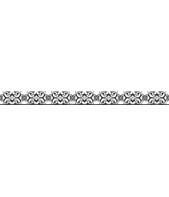 Elegant floral border