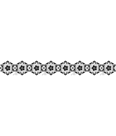  Black and white floral decorative frame