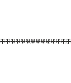 Elegant floral border