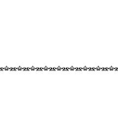 Elegant vintage floral frame