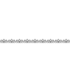 Ornamental flowers - Elegant border