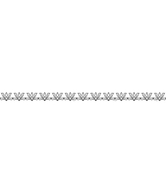 Elegant floral border